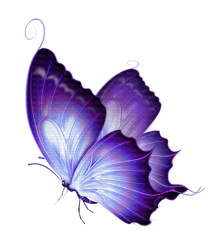 purple butterfly 4 - zdarma png