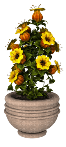Bloemen en planten - png gratuito