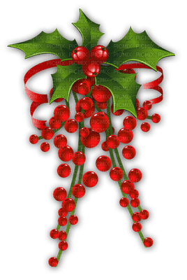 mistletoe bp - png gratis