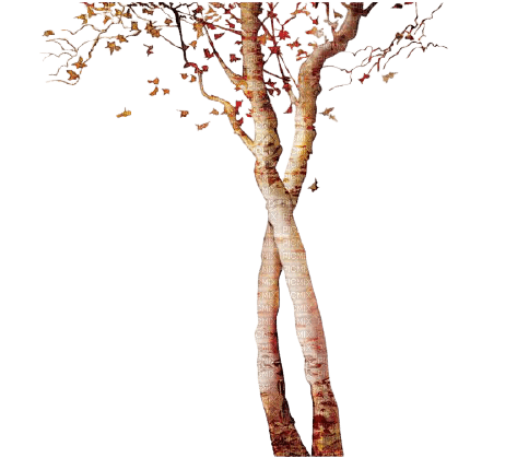 autumn tree kikkapink - δωρεάν png