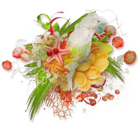 Summer fruits star bird deco [Basilslament] - nemokama png