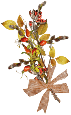 Kaz_Creations Deco Autumn Flowers Colours - nemokama png
