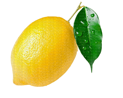 kikkapink lemon fruit deco png - 無料png