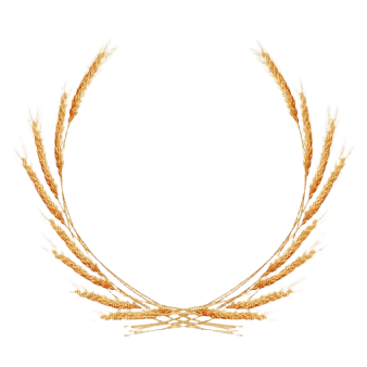Frame blé et moisson - PNG gratuit