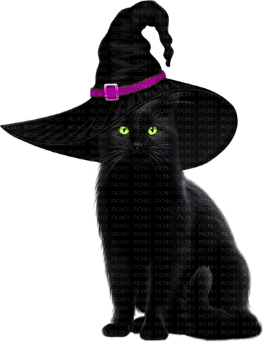 Cat.Witch.Black.Purple - Free PNG