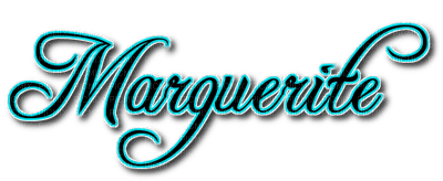 marguerite - PNG gratuit