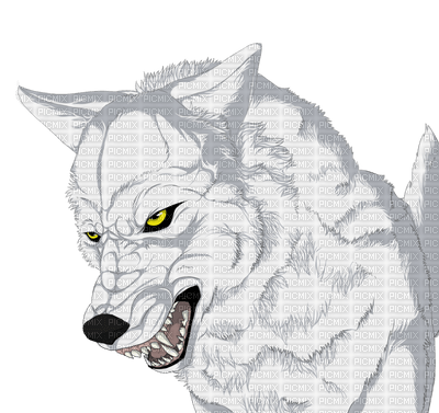 wolf-Rain-Anime, wolf , rain , anime - Free PNG - PicMix
