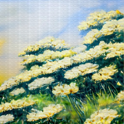 Pastel Yellow Flowers - 免费PNG