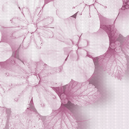 Fond rose background pink bg flower fleur fleurs - 無料png