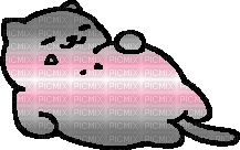 Demigirl Tubbs the cat - png ฟรี