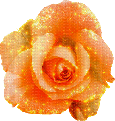 rose by nataliplus - Бесплатный анимированный гифка