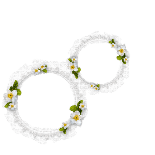 circle flowers   ❤️ elizamio - gratis png