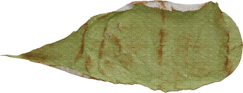 Autumn Leaf Blatt foliage green - PNG gratuit