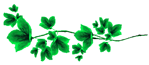 Animated.Flowers.Green - By KittyKatLuv65 - Бесплатный анимированный гифка