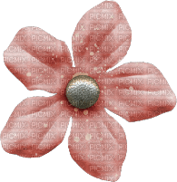 Flower Blume Button - ücretsiz png