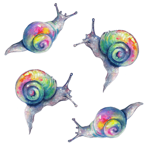 rainbow snails - png gratuito