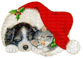 Kaz_Creations Animals Christmas Dog Pup Cat Kitten - gratis png