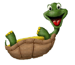 turtle schildkröte  tortue    animal  tube gif anime animated animation  fun - Free animated GIF