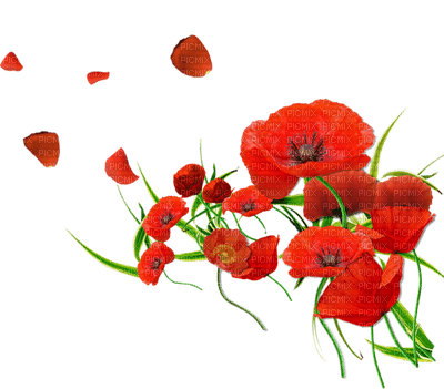 flowers laurachan - gratis png