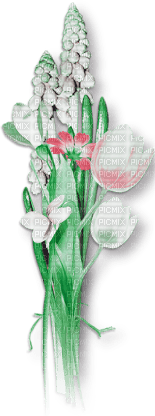 soave deco flowers branch spring  tulips - фрее пнг