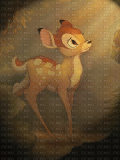 Bambi im Licht - Animovaný GIF zadarmo