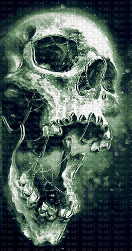 череп - Darmowy animowany GIF