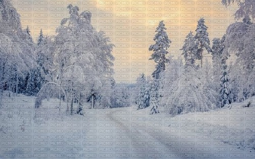 Winter - фрее пнг