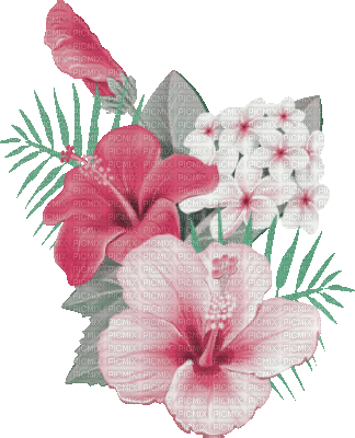 soave deco summer animated branch tropical flowers - Gratis geanimeerde GIF