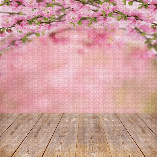 Y.A.M._Spring background - бесплатно png