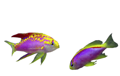 fish katrin - ücretsiz png
