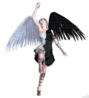angelo - zdarma png