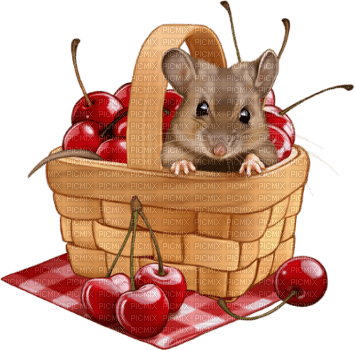 Cherry Mouse Basket - Bogusia - PNG gratuit
