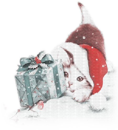 soave animals cat christmas winter gift box - 免费PNG