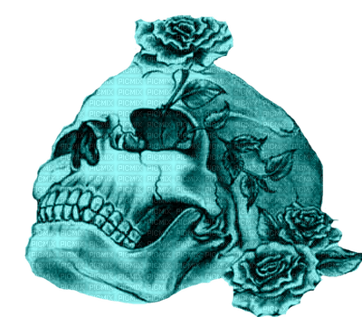 Gothic skull by nataliplus - zdarma png
