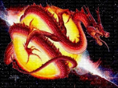 feu dragon - darmowe png