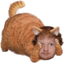 Garfield Ed Sheeran - bezmaksas png