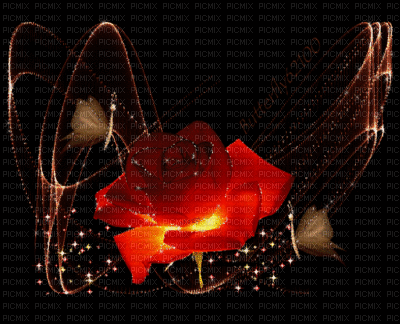 fond rose rouge5 - GIF animado grátis
