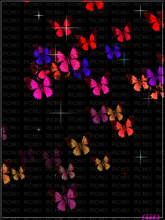 borboletas - Ilmainen animoitu GIF