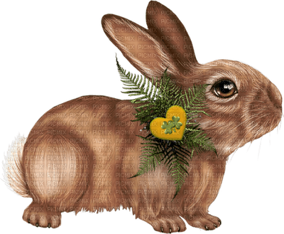 Easter, Rabbit, Rabbits, Bunny, Bunnies - Jitter.Bug.Girl - png grátis
