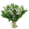 bouquet-3-NitsaPap - Darmowy animowany GIF