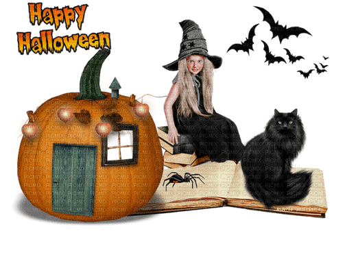 halloween hexe witch - png ฟรี