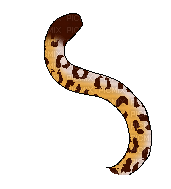 leopard tail - Бесплатный анимированный гифка