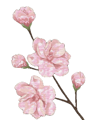 sparkly flower - Nemokamas animacinis gif