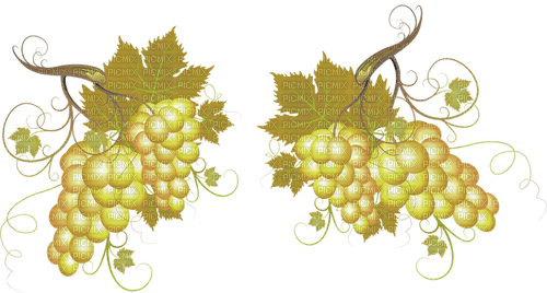 grapes Bb2 - png grátis