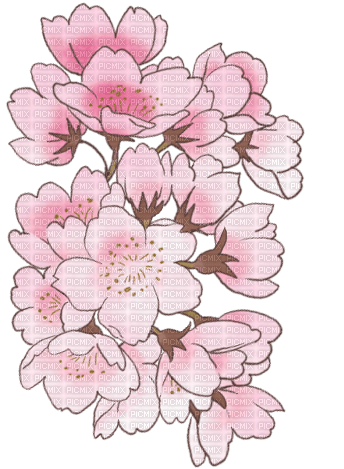 cherry blossom Bb2 - ücretsiz png