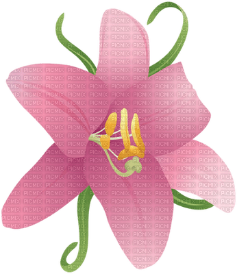 Kaz_Creations Flowers Flower - nemokama png