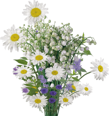 patymirabelle fleurs muguet - png gratis
