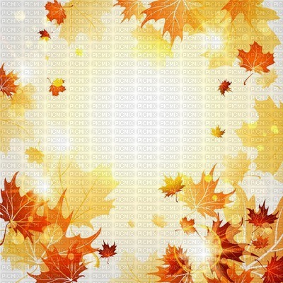 fond autumn automne - бесплатно png