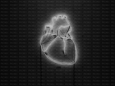 Corazón - Бесплатный анимированный гифка