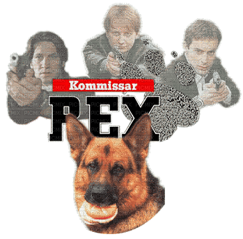 kommissar rex - 免费动画 GIF